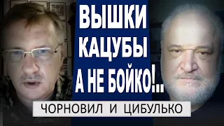 ..соратник Бойко ПОДАЛ в СУД на Украину... развитие истории с Кацубой - Чорновил и Цибулько