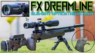 Hunting with a new scope | Helix HDLR | FX Dreamline GRS | 21gr | Air Gun Hunting | Pest Control