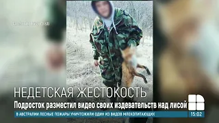 Недетская жестокость: подросток разместил в соцсетях видео издевательств над лисой