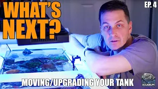 WHAT'S NEXT? Starting Over With Your Saltwater Tank - Moving & Upgrading A Saltwater Tank