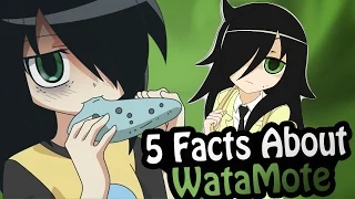 Top 5 Facts - WataMote