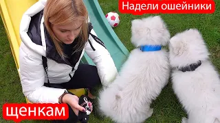 VLOG Как мы всё успеваем. У каждого свои обязанности