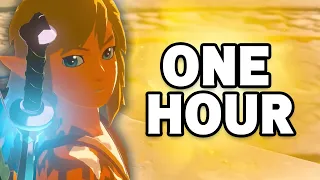 Beating Tears of the Kingdom in 1 Hour