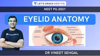 EYELID ANATOMY |  NEET-PG 2021 | Vineet Sehgal