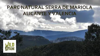 Wild Spain - Capítulo 197 - Parque Natural Serra de Mariola, Alicante y Valencia.