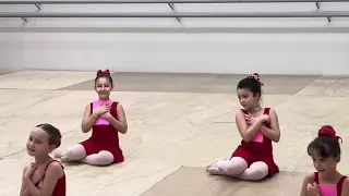 Dia da família no Ballet, como é uma aula de Ballet? Curtam comigo ❤️🩰