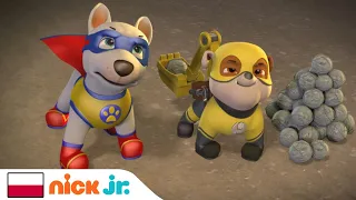 Psi Patrol | Psi Patrol łączy siły z ulubionymi bohaterami! | Nick Jr.