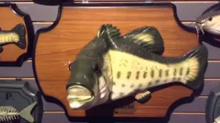 "World record Billy bass" jumbo Billy bass