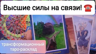 Высшие силы на связи!☎