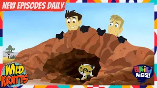 Wild Kratts | What’s Going On Here? | Akili Kids!