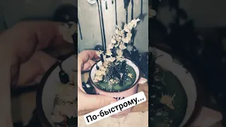 По-быстрому на битую кружку 👌🏻 отсечение плюс защита 💪🏻🔥. уже на моём ТГ канале ✨✨✨