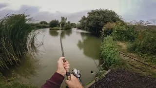 Float Fishing a small pond with Maggots