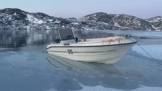 Seal hunt | I caught a giant SEAL!