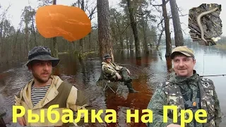 Рыбалка на р. Пра в разлив 2018. Подводная съёмка и залипшая ящерица "без ног"