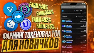 StonFi - Полный обзор фарминга на Блокчейне TON | Как фармить токены на Ton | Пул Ликвидности Ton