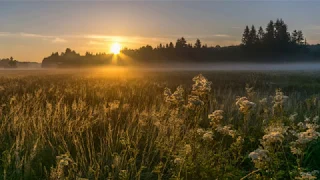 Singing a lark at dawn Meet the sunrise with the loud chanting of a lark