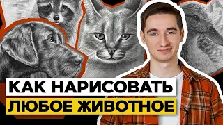 🦁РИСУЮ КОГО ХОЧУ! | Как научиться рисовать любое животное?