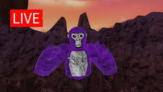 🔴GORILLA TAG LIVE | (Hanging out, Minigames & Codes)🔴