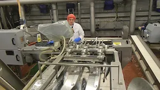 IB Food-Machines - Baader 35 fish processing line