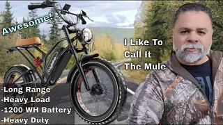 This E-bike Is Awesome! - The Euy Bike S4 Long Range Moped-style Electric Bike