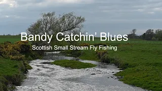 Bandy Catchin Blues. Scottish Small Stream Fly Fishing