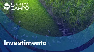 O quanto do Plano Safra será destinado para a sustentabilidade no campo? | Planeta Campo 30/06/2022