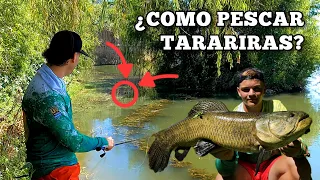 ¿COMO PESCAR TARARIRAS? 🐊 Explicación y Demostración 😎 (Tararira GIGANTE‼️)