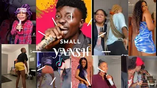 Emmyblaq Efr – Small Yansh Dey Shake Tiktok challenge compilation