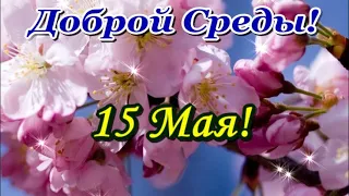 Самому лучшему человеку!