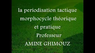 la périodisation tactique morphocycle théorique et pratique