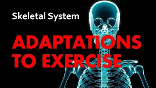 Adaptations to Exercise | Skeletal System 07 | Anatomy & Physiology