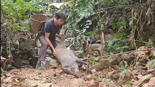 Saw an unlucky wild boar when I was looking for food, Survival Instinct, Wilderness Alone (ep 111)