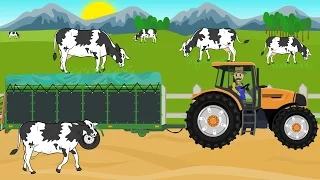 A farmer and a trip for cows to a neighboring town - The work of a farmer and tractors