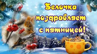 Белочка поздравляет с пятницей и наступающими выходными!