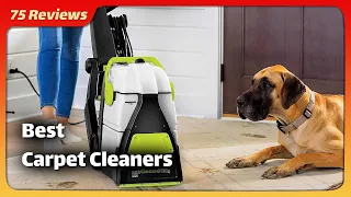 5 Best Carpet Cleaners 2024: Resurrect Your Rugs