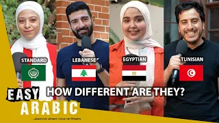 Lebanese vs. Egyptian vs. Tunisian vs. Standard Arabic: a dialect comparison | Easy Arabic 2