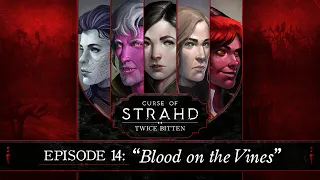 Blood on the Vines | Curse of Strahd: Twice Bitten — Episode 14