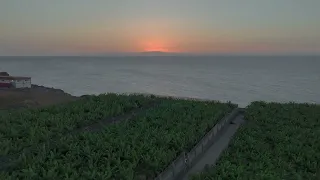 Drone Atardecer - Buenavista / ❤️ - Tenerife Island 🇮🇨