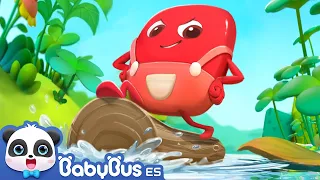 Juego de Aventuras de Dulce Rojo | Dibujos Animados | Vídeos para Niños | BabyBus en Español