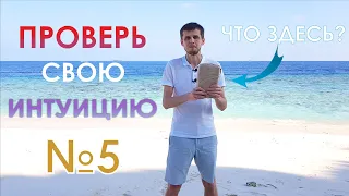 Проверь свою интуицию | ЧувствоЗнание | Практ. №5 ☀️ Школа 13 Алмазов. С.Жданов