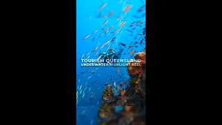 The Great Barrier Reef in 15 Seconds #shorts