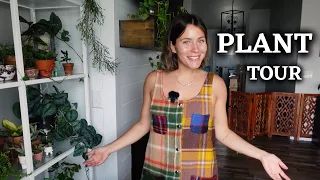 My Houseplant Tour 2023 - How I Display My Indoor Plants