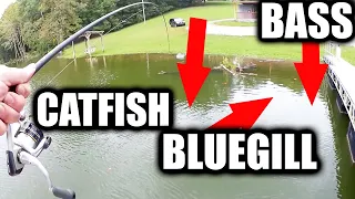 Fishing For Bluegill Bass & Catfish! The Freshwater Bank Fishing Slam!