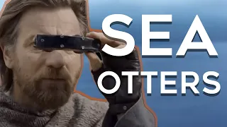 Sea Otters (Obi Wan Kenobi Remix)