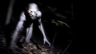 Most Terrifying Creatures Ever Caught on Trail Cam