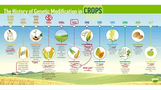 History of GMO:  A Timeline.  How Long Has GMO Been Happening?  GMO Part 4
