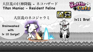 Battle Cats Titan Maniac Resident Feline！Manic Jamiera！