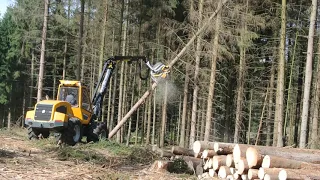 Sampo Rosenlew HR 46 Harvester VS dicker Baum