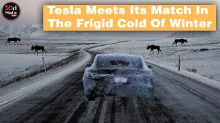 Can Teslas Handle The Cold?