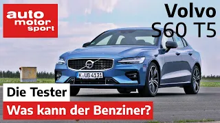 Volvo S60 T5: Noch ohne Mild-Hybrid eine Empfehlung? - Test/Review | auto motor und sport